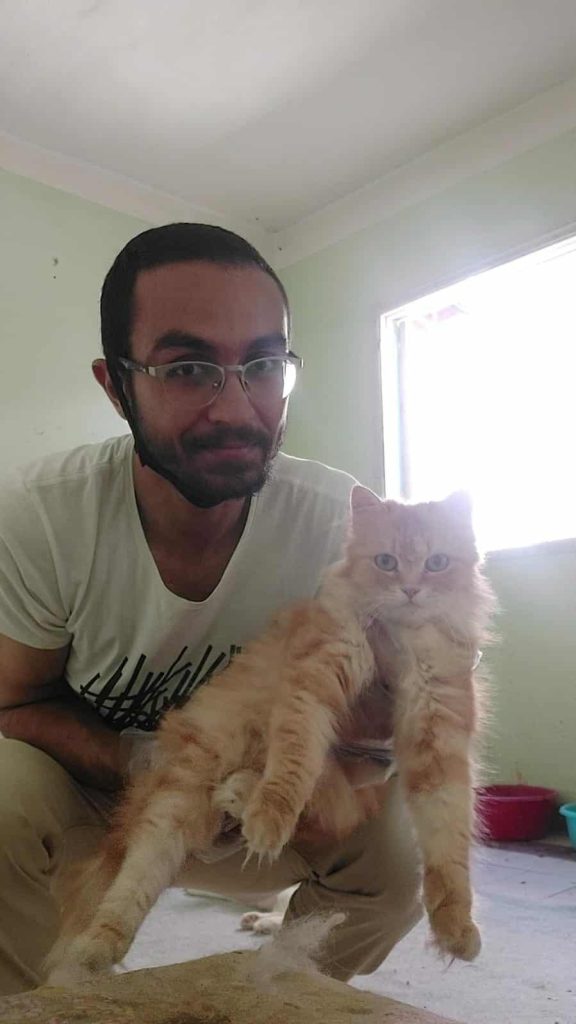 Ann and Abdul
