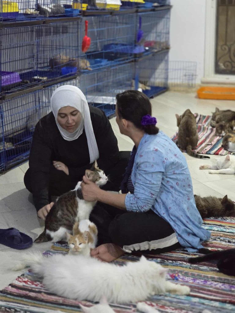 Ash Egyptian Animal Rescue