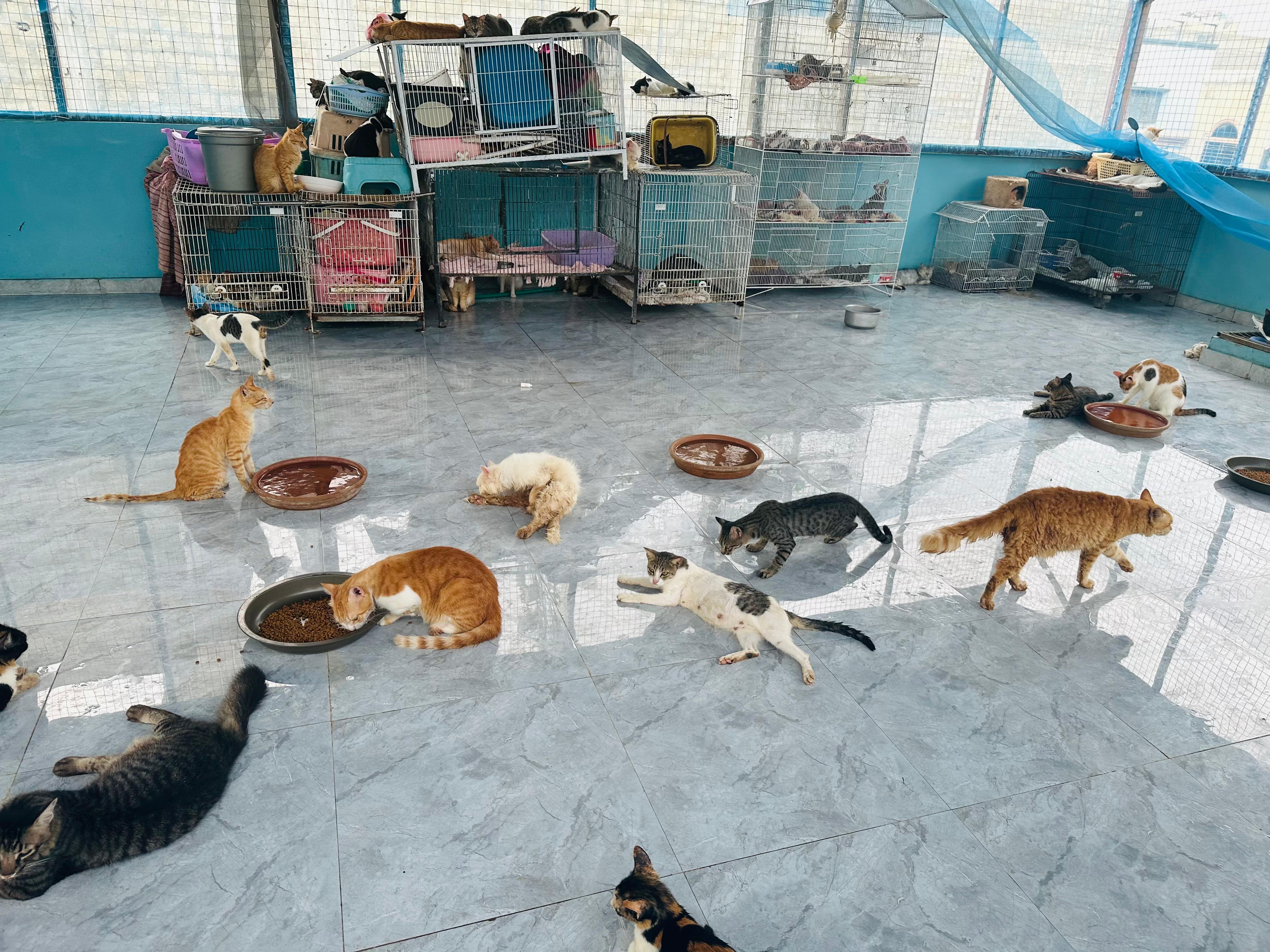Inside Tales of Second Chances, Karachi 3