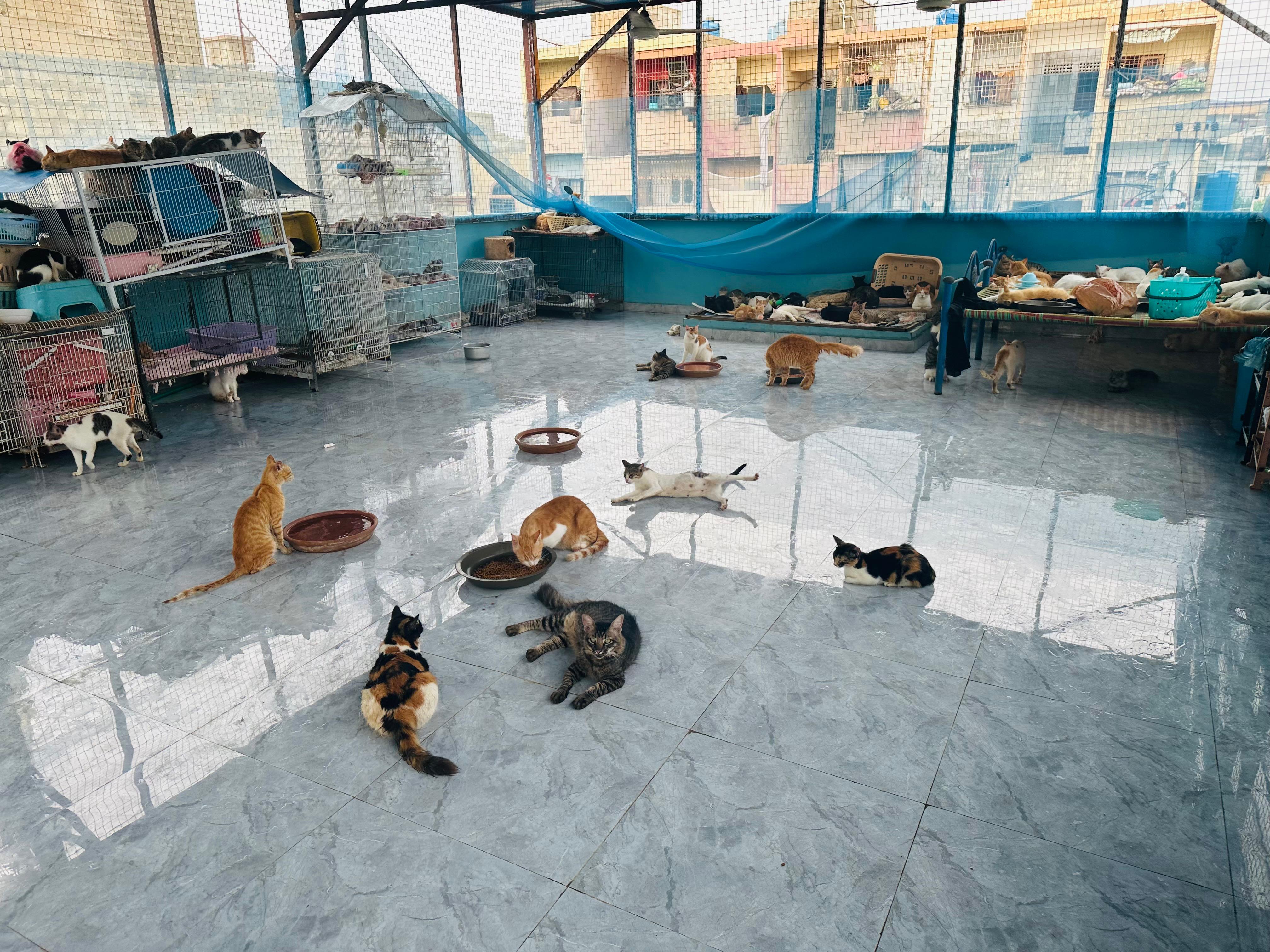 Inside Tales of Second Chances, Karachi 4