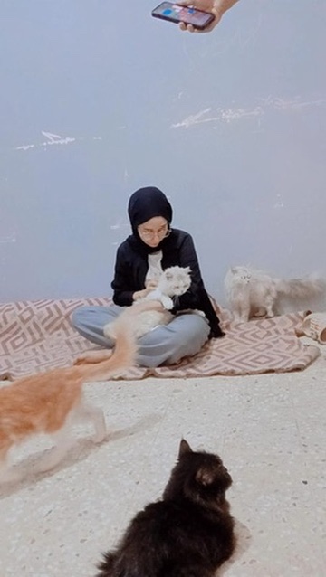 A cat in Dr Fatima&rsquo;s care
