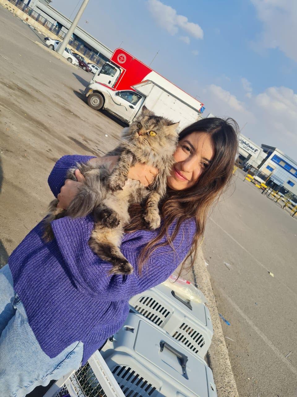 Cats at Nees Cats Shelter 15
